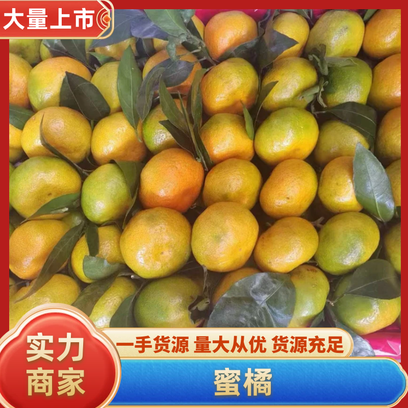 蜜桔，柑橘，湖北蜜桔产地发货商超品质货源稳定欢迎咨询