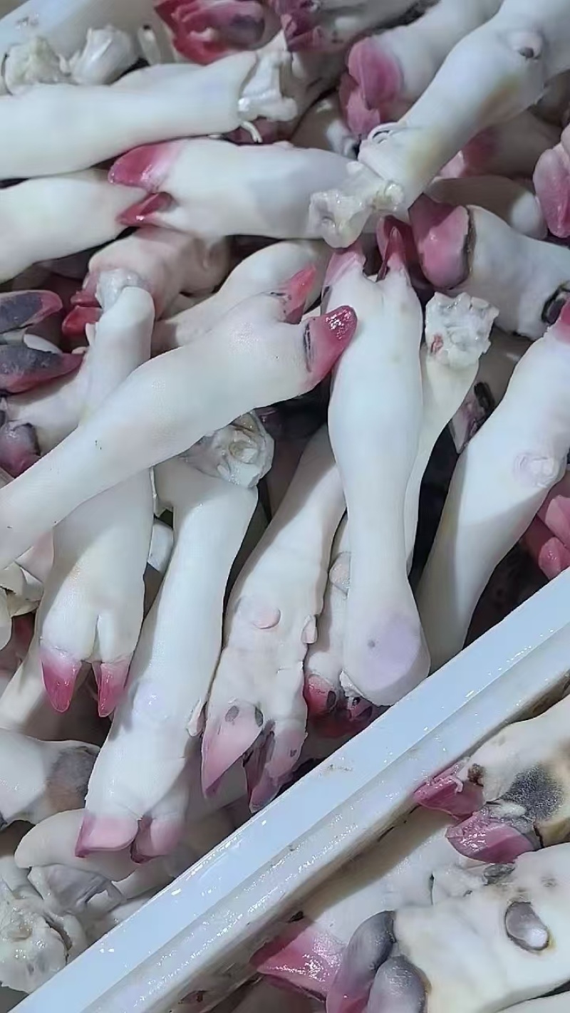 育肥羊蹄