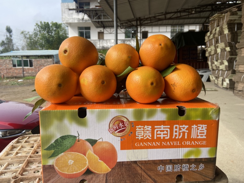 赣南脐橙电商一件代发一条龙服务接抖音淘宝京东社区团购