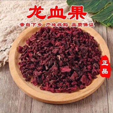 火焰参正宗火焰参龙血果云南中药材干货批发龙血果茶