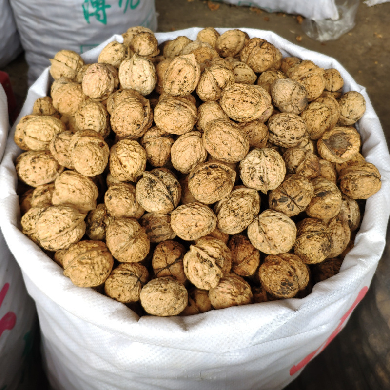核桃薄皮今年新货原味老树云南纸皮核桃新货薄壳小