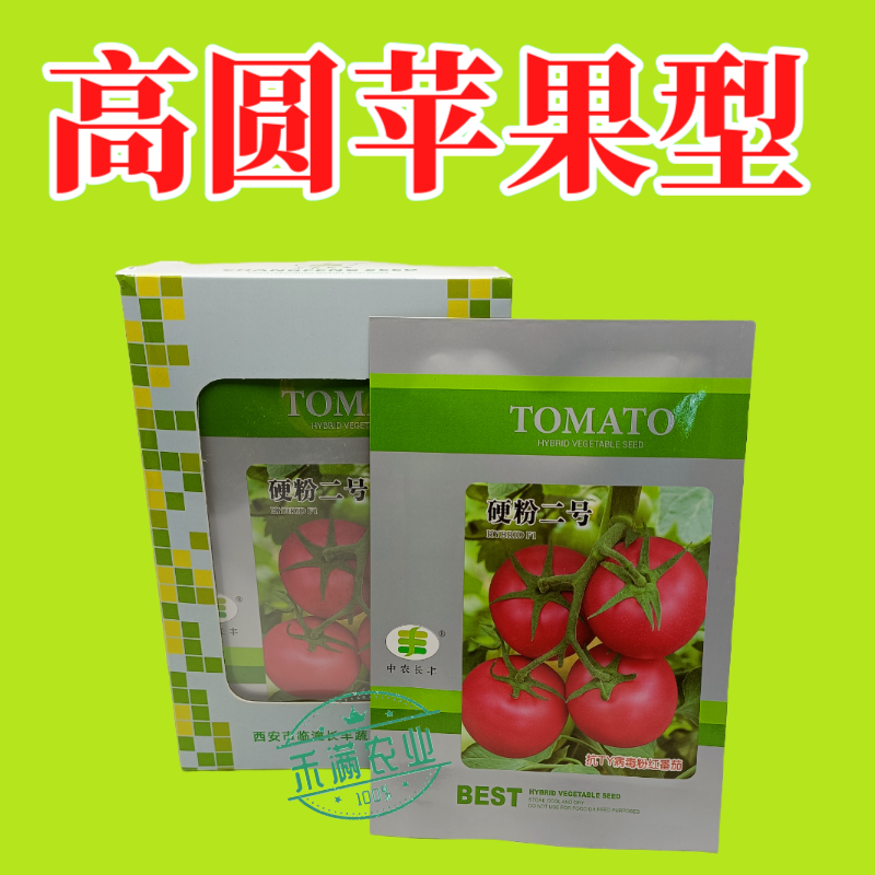 硬粉二号番茄种子早春秋延越冬西红柿种子大棚露地种硬度好抗