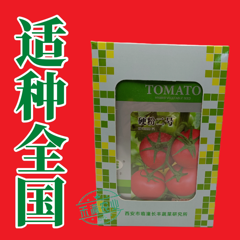硬粉二号番茄种子早春秋延越冬西红柿种子大棚露地种硬度好抗