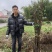 沪晓梨苗上海农科院新品7月翠冠梨升级版早生新水梨树苗