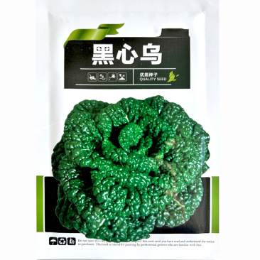 黑心乌塌菜种子较耐寒早熟春秋种植