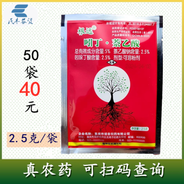 根远吲哚丁酸生根剂萘乙酸生根粉果树苗木促根剂移栽扦插用壮