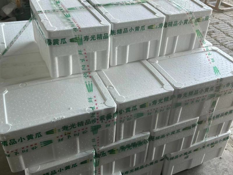 【电商代发】现摘现发新鲜水果黄瓜无刺小黄瓜常年有货