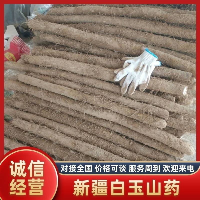 新疆白玉山药对接全国电商市场超市自家基地直发