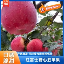 云南昭通红富士糖心丑苹果，一手货源，代发全国