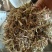 花生秧草牛羊饲料一手货源常年批发供应可实地看货视频看货