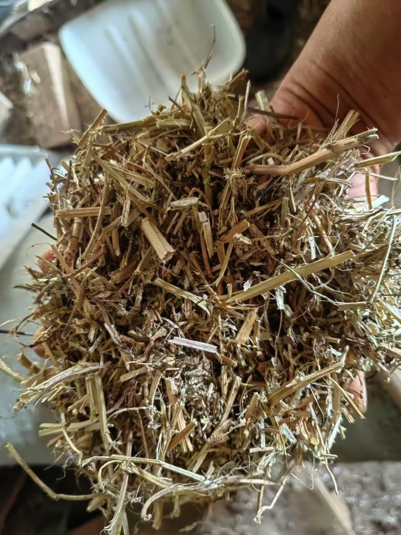 花生秧草牛羊饲料一手货源常年批发供应可实地看货视频看货