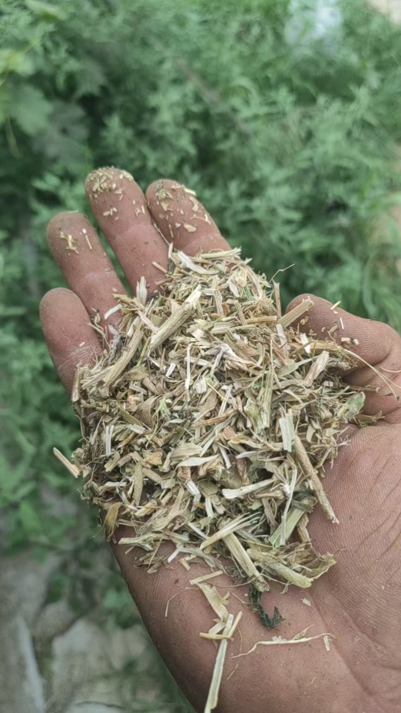 花生秧草牛羊饲料一手货源常年批发供应可实地看货视频看货