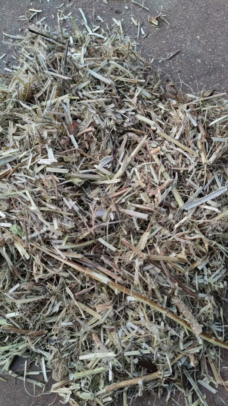花生秧草牛羊饲料一手货源常年批发供应可实地看货视频看货