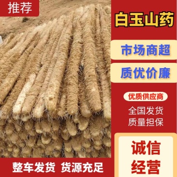 【销量过万】精品热卖白玉山药大量上市欢迎选购