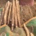 【白玉山药】‌山药种植户直售，杜绝中间商差价‌
