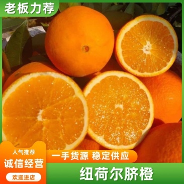 脐橙纽荷尔脐橙湖南脐橙现摘现发口感纯甜品质保障
