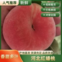 【正宗】精品红毛蟠桃，大量现货全国发货量大从优保质保量