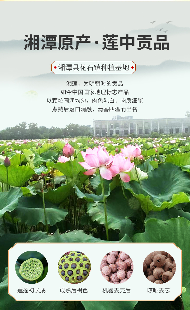 忆莲堂特大颗去心红莲子500克真空包装送礼佳品