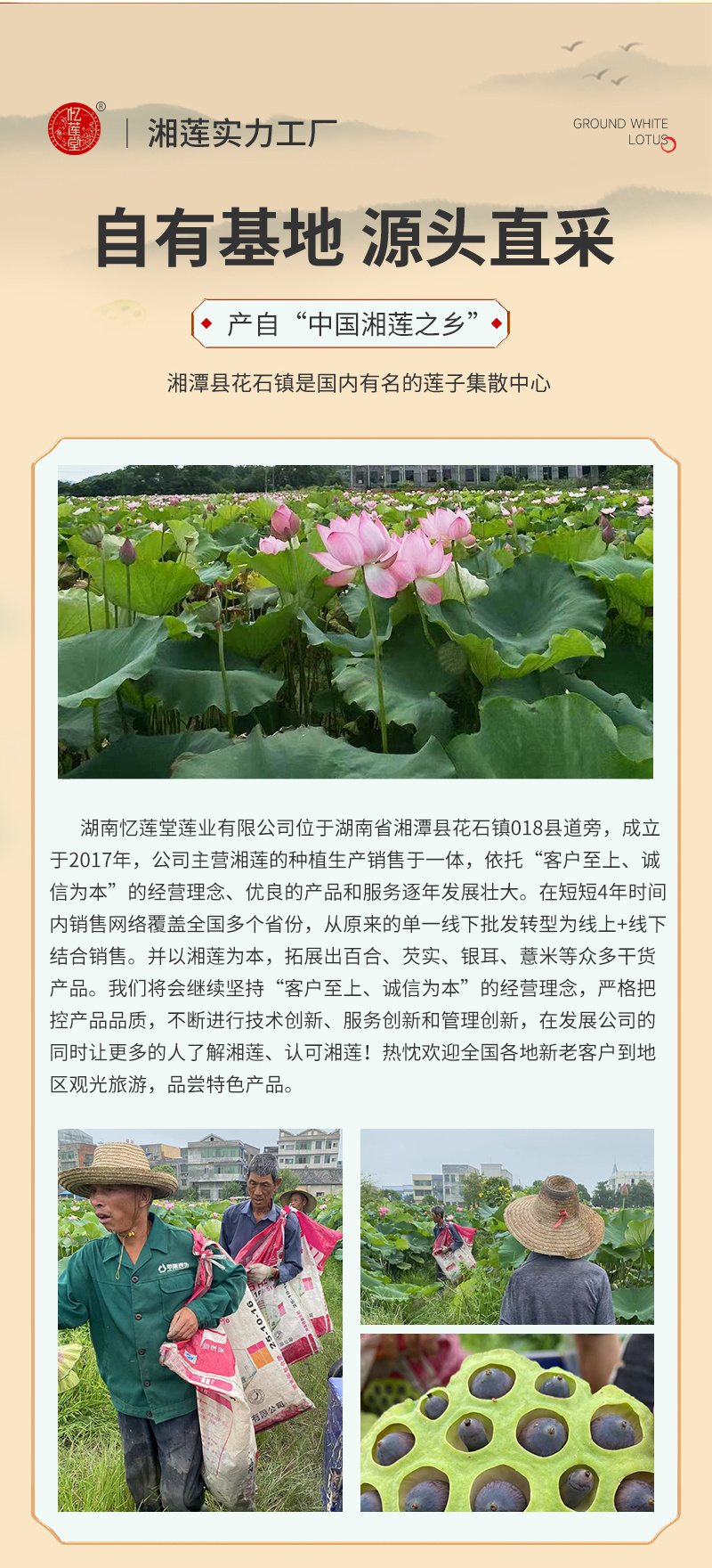 忆莲堂特大颗去心红莲子500克真空包装送礼佳品