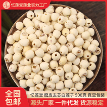 忆莲堂去心磨皮白莲子真空包装送礼佳品