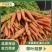 精品胡萝卜带叶红萝卜半苗电商货规格齐全量大从优