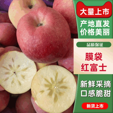 河北膜袋红富士苹果冰糖心苹果产地一手货价格可谈电联采购