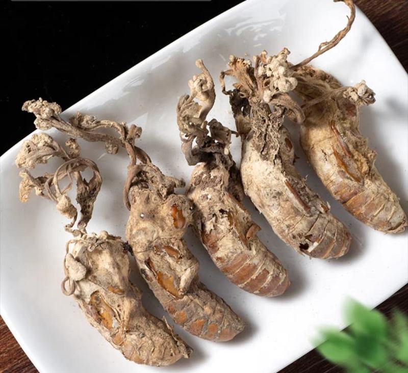 皖南山区深山竹林采挖纯野生金蝉花质量保证，欢迎大家前来订