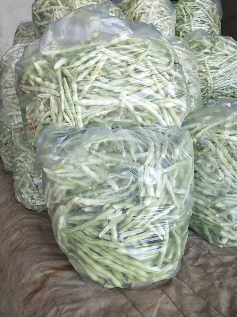 芸豆山东芸豆精品芸豆大量供货，品质保障量大从优欢迎咨询
