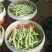 芸豆山东芸豆精品芸豆大量供货，品质保障量大从优欢迎咨询