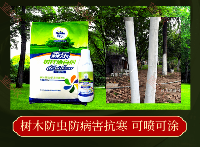 树杆涂白剂可喷可涂耐雨水冲刷防病虫害送专用助剂