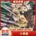 【优质】小黄姜市场货保质保量诚信经营大量出货