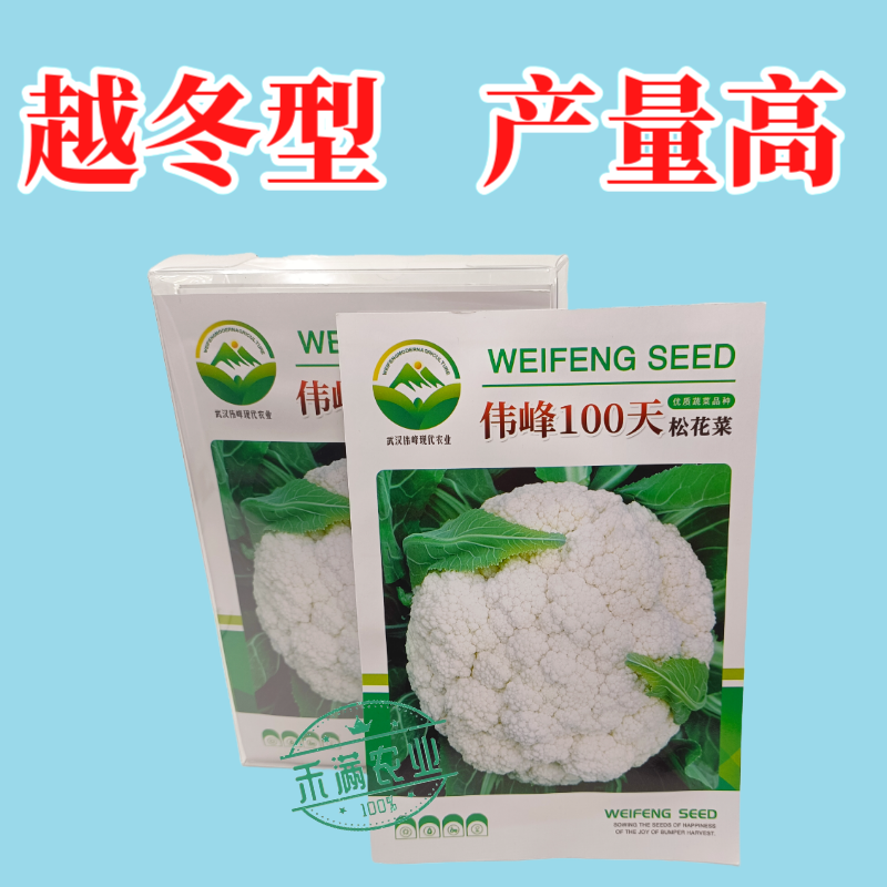 基地优品伟峰100天松花菜种子春秋花菜种花椰菜松花菜种子