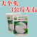 基地优品伟峰100天松花菜种子春秋花菜种花椰菜松花菜种子