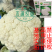 基地优品伟峰100天松花菜种子春秋花菜种花椰菜松花菜种子