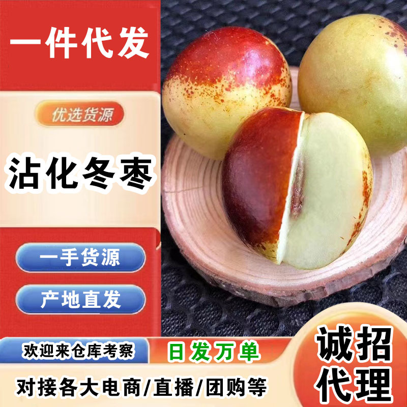 山东沾化冬枣一件代发产地直发一手货源对接各大电商平台