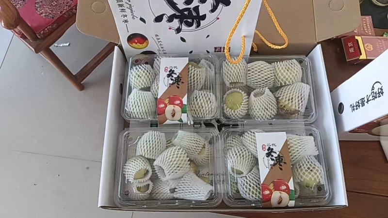 山东沾化冬枣一件代发产地直发一手货源对接各大电商平台