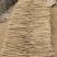 【实力推荐】小白嘴山药河南产地品质保证可视频看货