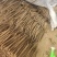 【今日推荐】双棒山药河南产地直发可视频看货对接全国