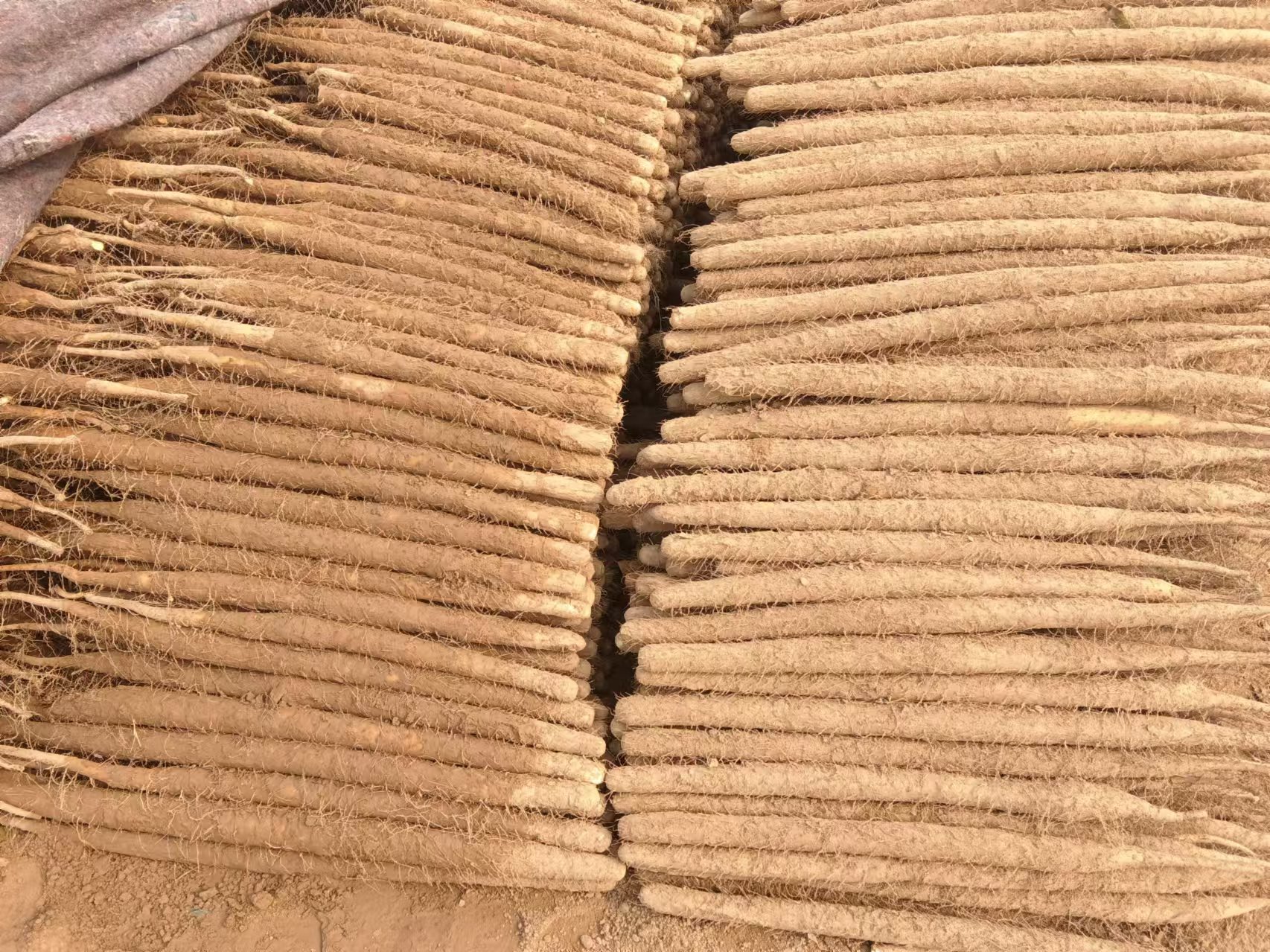 菱角与山药搭配图