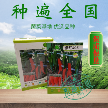 鼎红405早熟大果美人椒种子5g朝地美人辣椒种籽指地椒