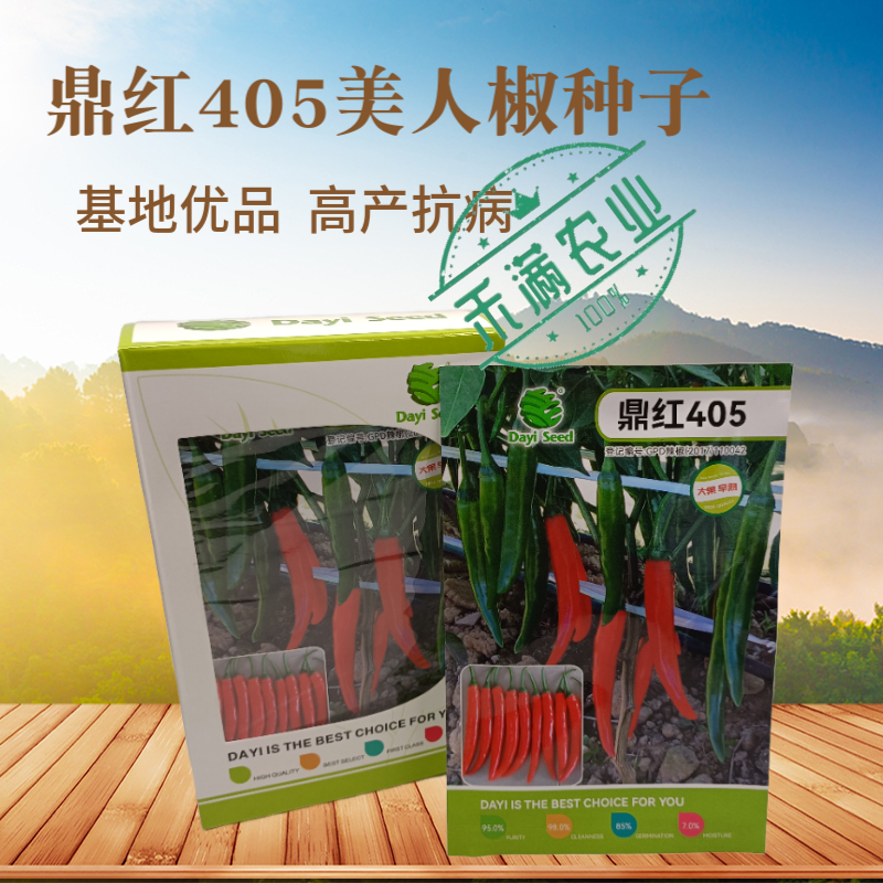 鼎红405早熟大果美人椒种子5g朝地美人辣椒种籽指地椒