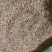 小茴香精选好货产品实拍调味佳品
