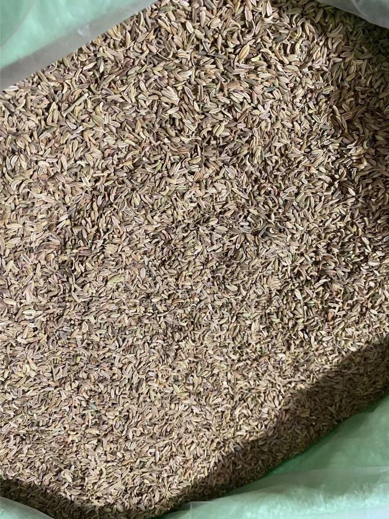小茴香精选好货产品实拍调味佳品
