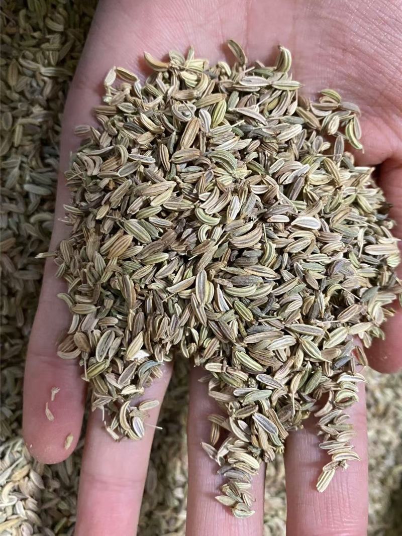 小茴香精选好货产品实拍调味佳品