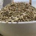 小茴香精选好货产品实拍调味佳品