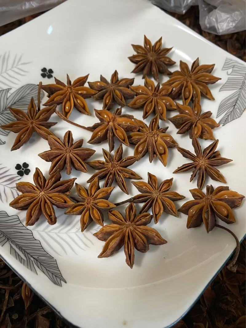 大红八角（天然香料调味佳品）产品实拍