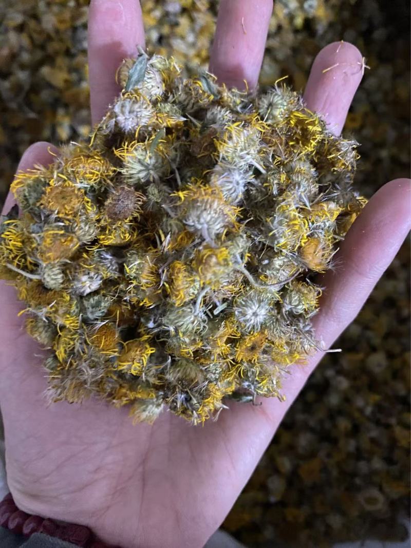 旋覆花产品实拍颜色好中药材批发