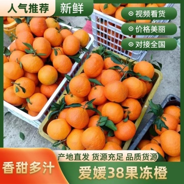 【推荐】四川精品爱媛橙果冻爱媛38号产地直发代发全国