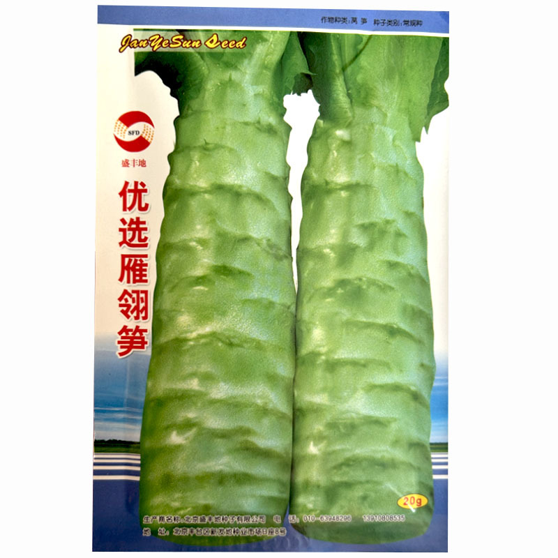 莴笋种子优选雁翎笋20克皮薄耐热耐寒基地品种