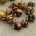 【油茶籽】湖南岳阳鲜油茶籽霜降果果形好无死果货量大皮薄